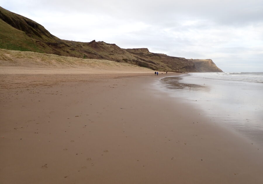 Skinningrove beach C of F feb 2024