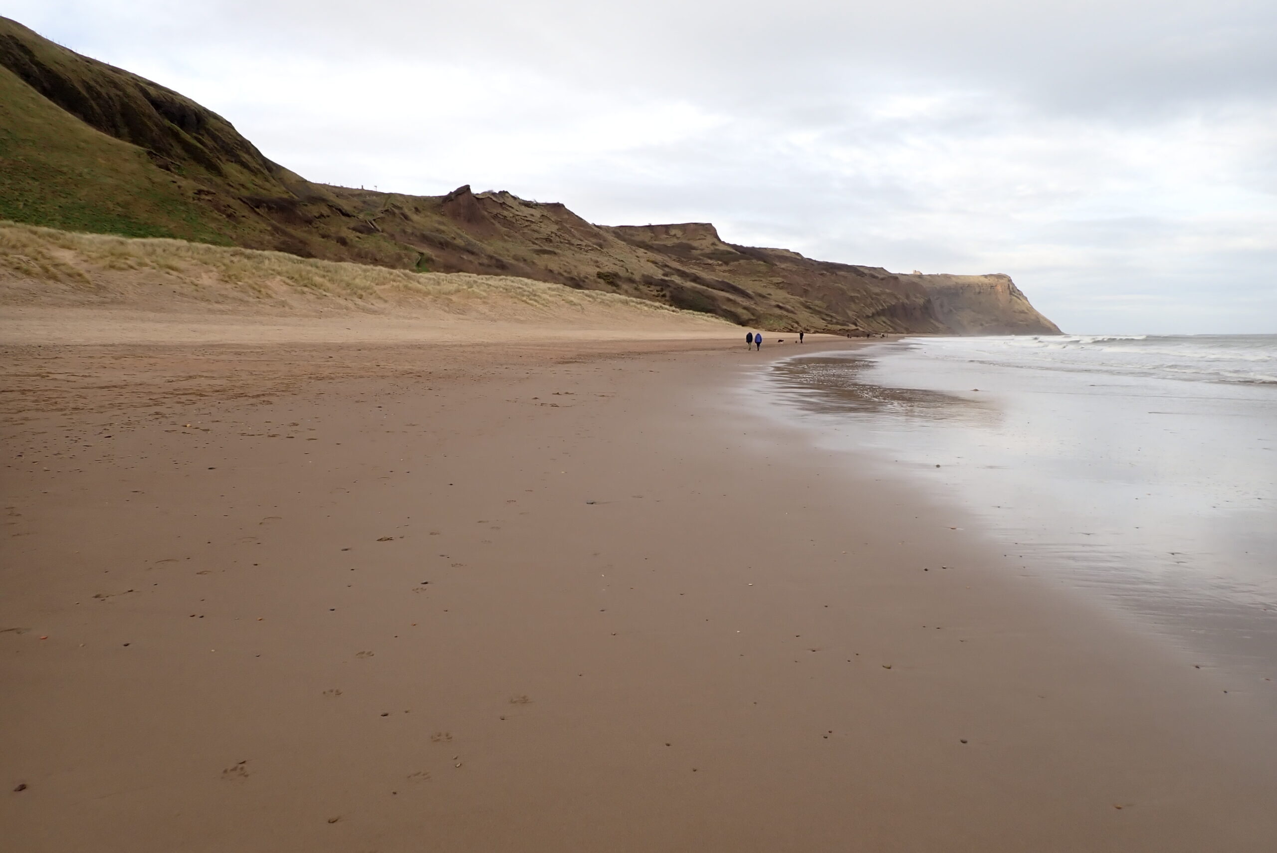 Skinningrove beach C of F feb 2024