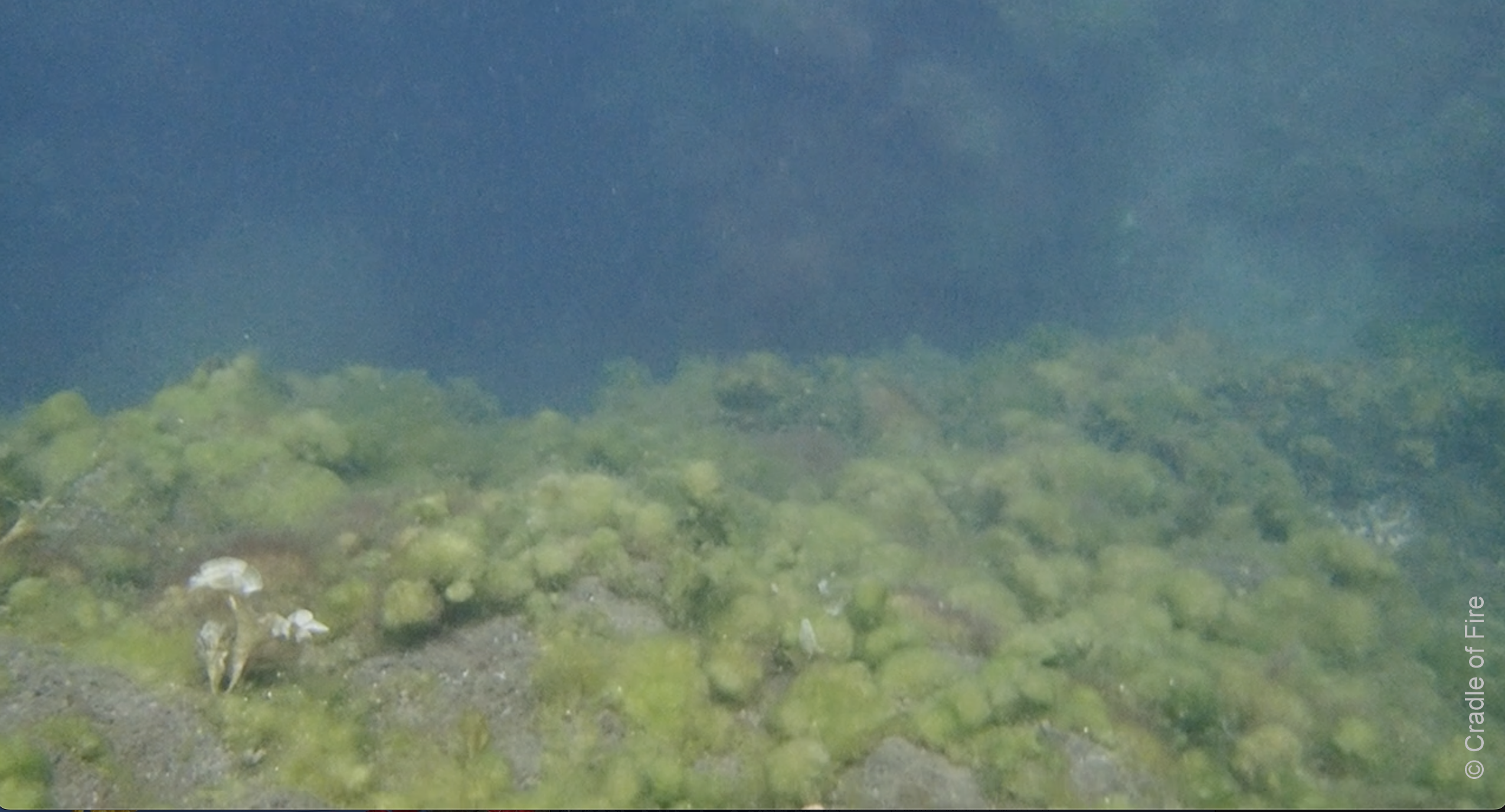 Cradle of Fire film 9 24 Madeira volcanic pool 2 Diana Scarborough_wm(1)