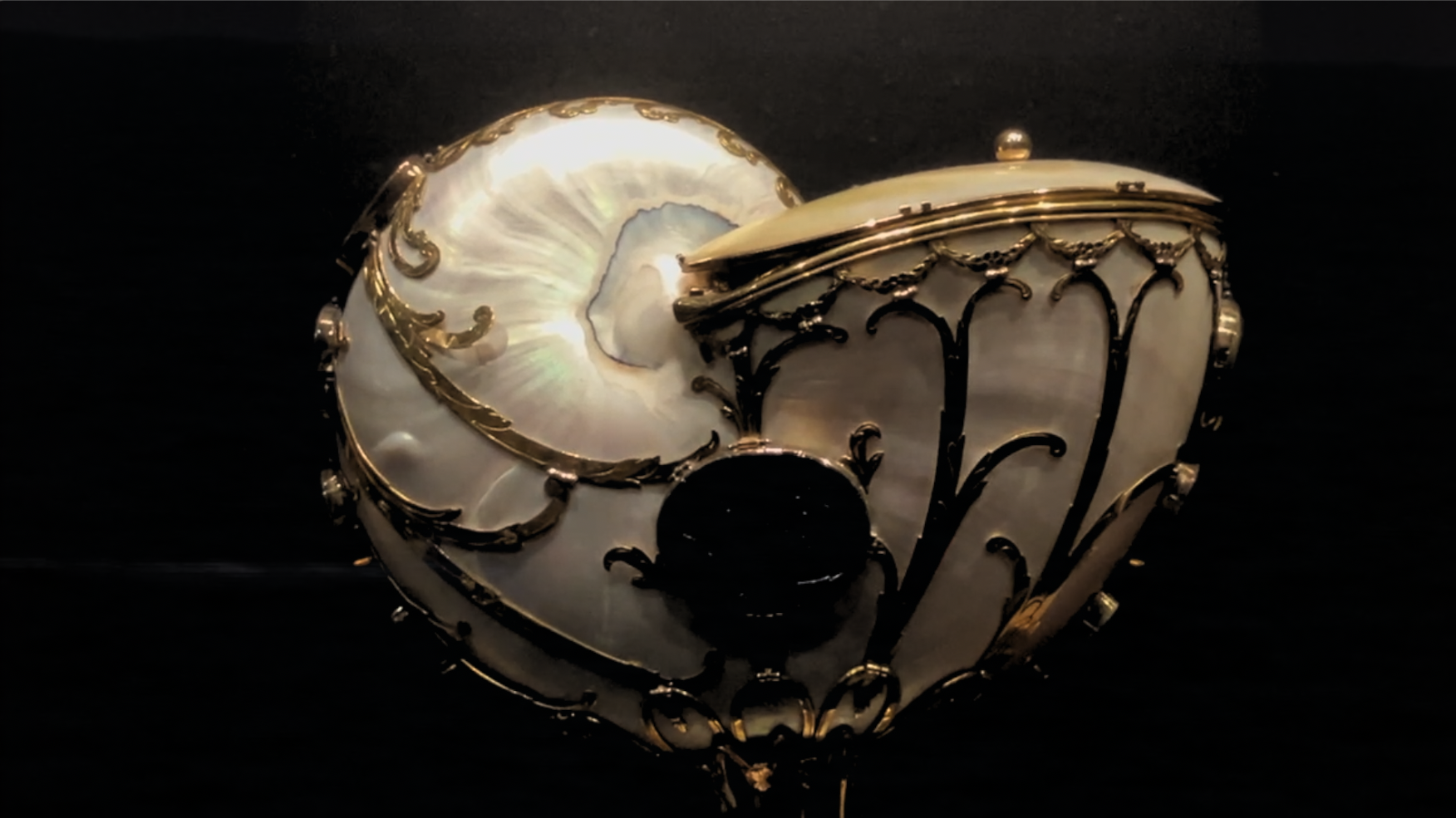 A faultless pearl in the darkest sea, a poem read by Isaac Winter - film still - embellished Nautilus shell courtesy of the Victoria and Albert Museum