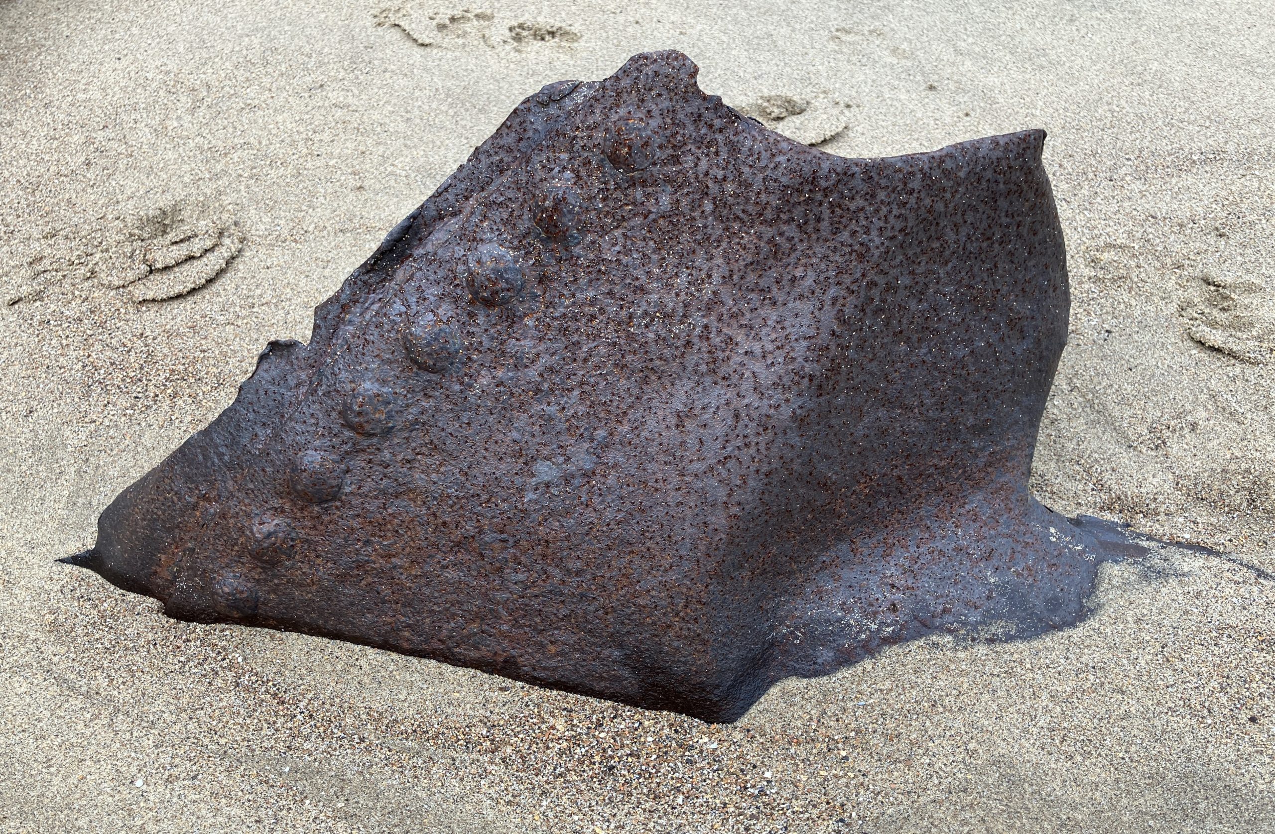 Rusted steel on Cattersty Sands, Skinningrove beach, photo by Diana ScarboroughRusted steel on Cattersty Sands, Skinningrove beach, photo by Diana Scarborough