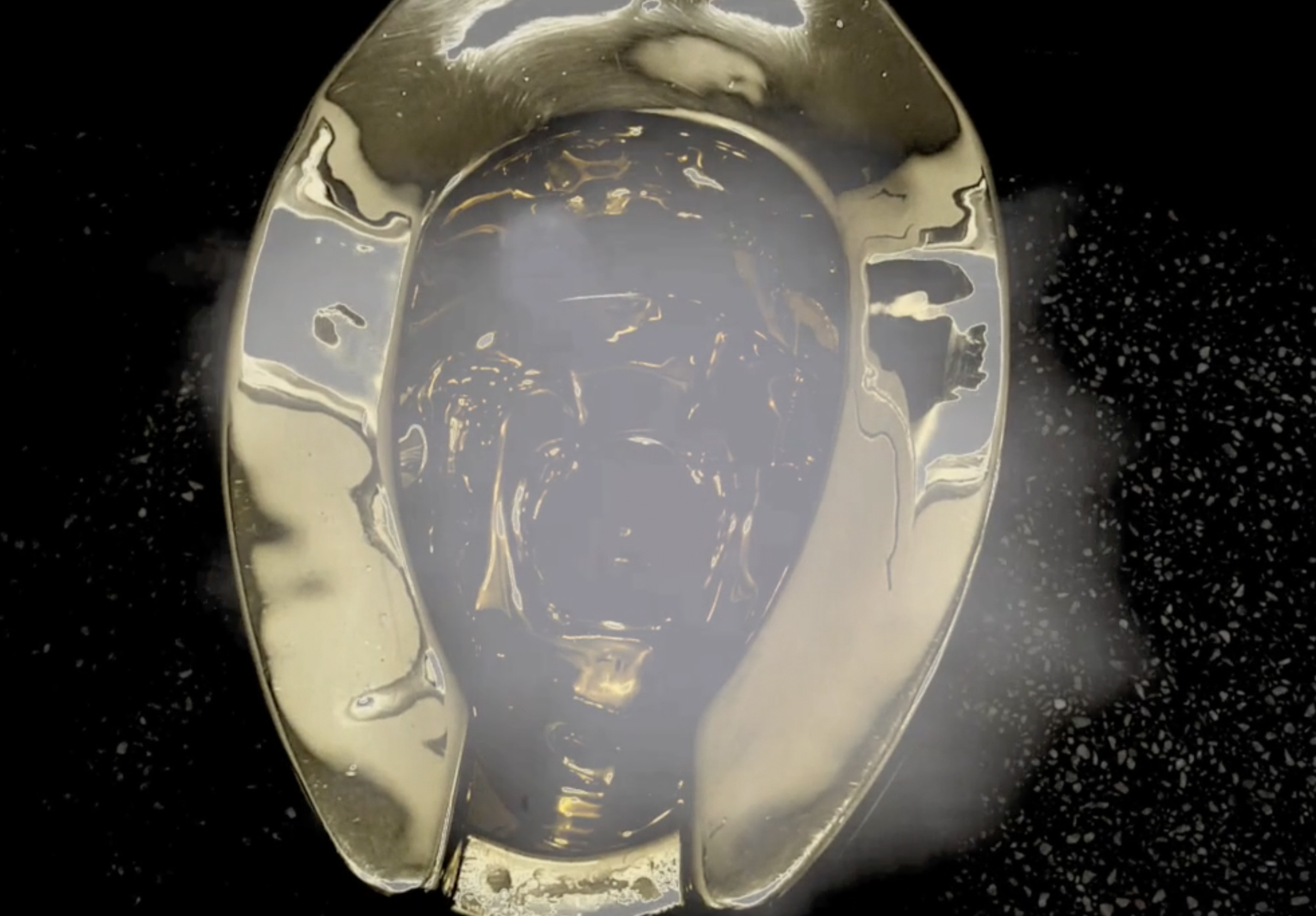 Golden Throne by Maurizio Cattelan  features in the film Credit :Eileen Haring Woods/Diana Scarborough 